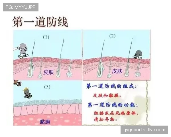 帕雷德斯与比索马中场覆盖范围的分化：从传中枢纽向防线屏障的转向
